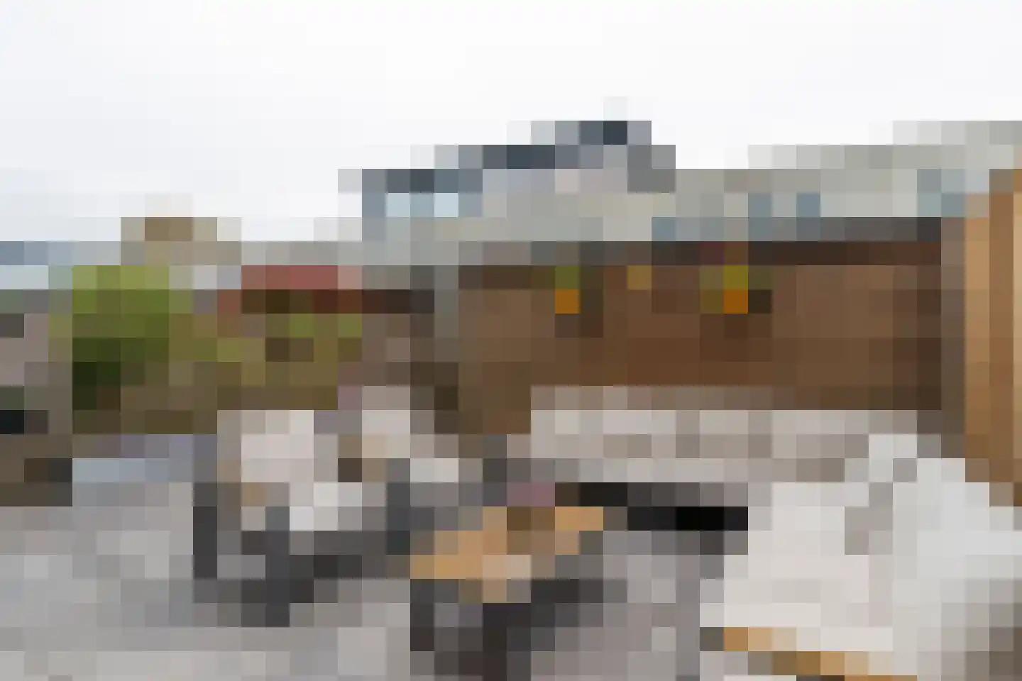 Welgelegenstraat 17 Den Haag thumbnail 17