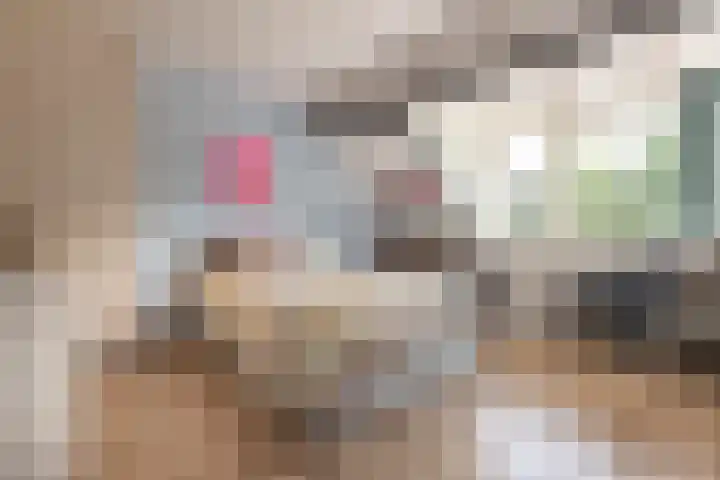 Welgelegenstraat 17 Haarlem thumbnail 31