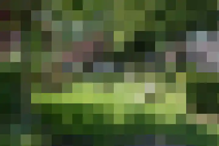 Welgelegenstraat 17 Haarlem thumbnail 36