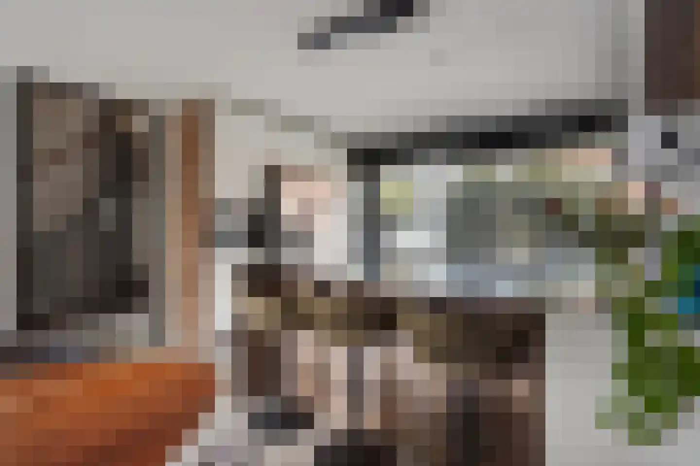 Welgelegenstraat 26 Den Haag thumbnail 13