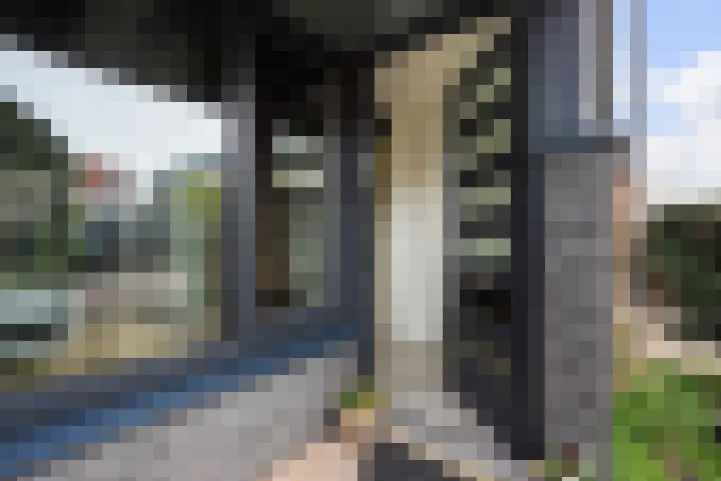 Welgelegenstraat 26 Den Haag thumbnail 8