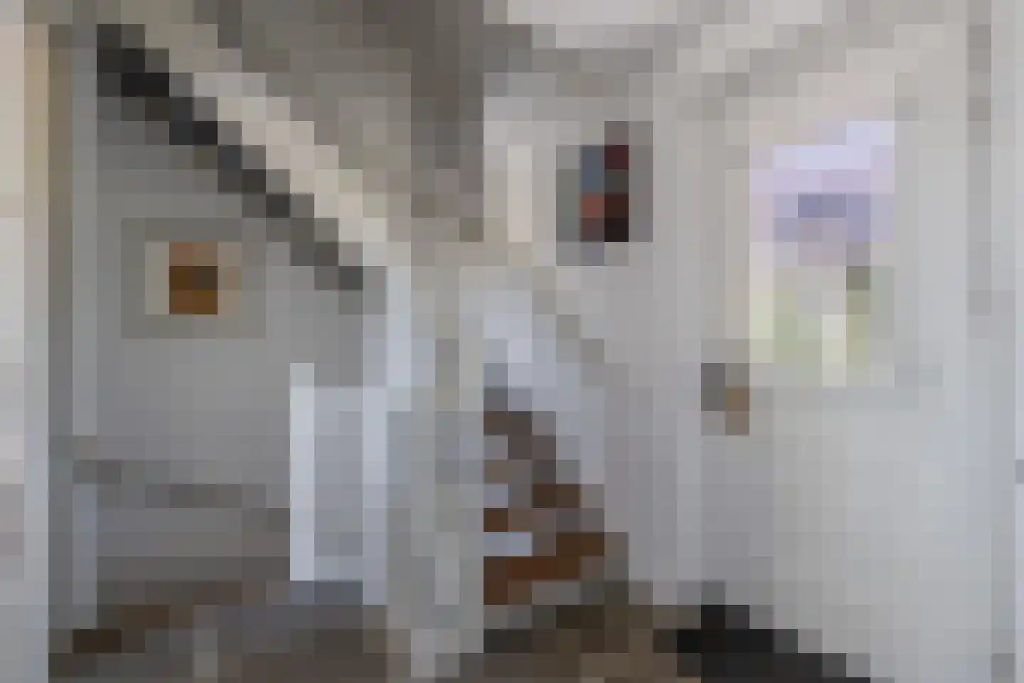 Welgelegenweg 12 Stroe thumbnail 12