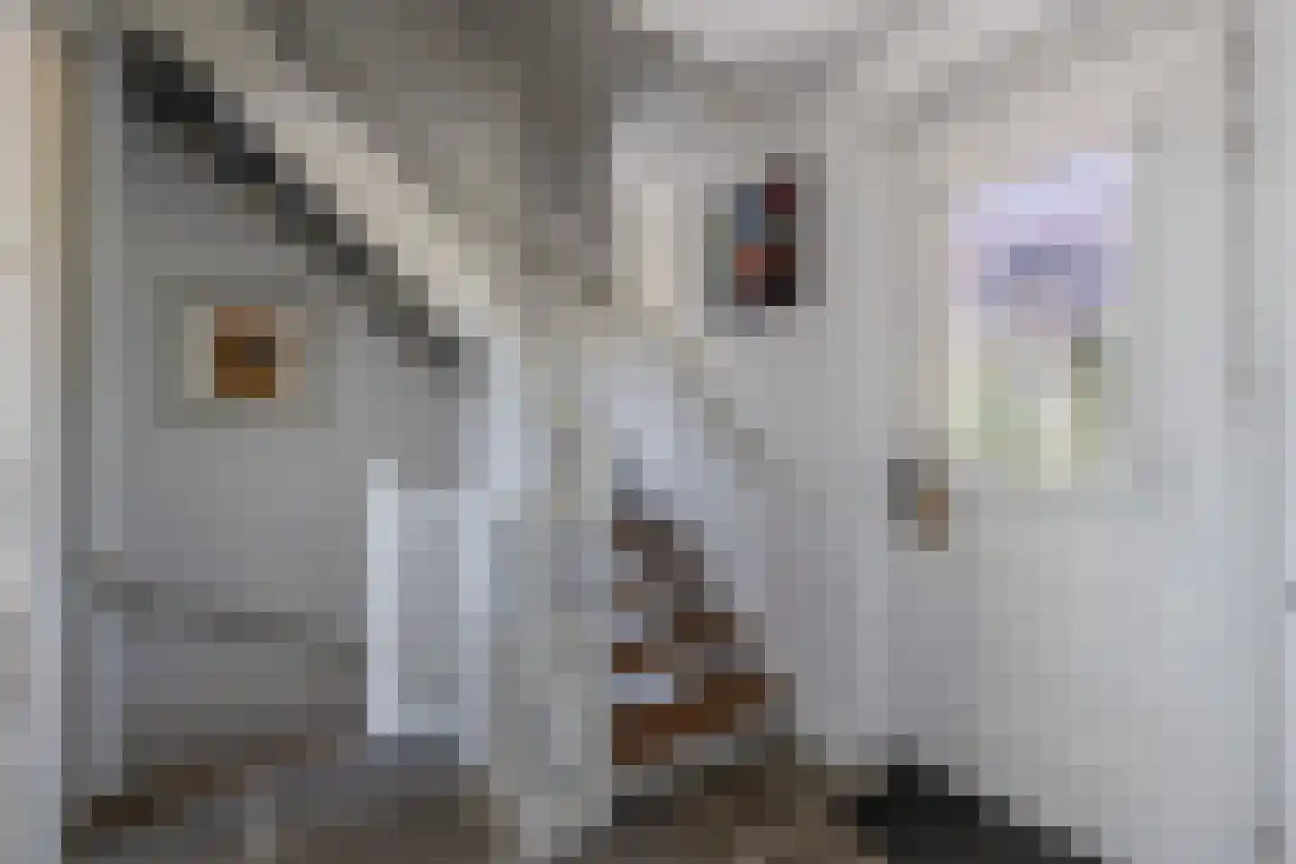 Welgelegenweg 12 Stroe thumbnail 12