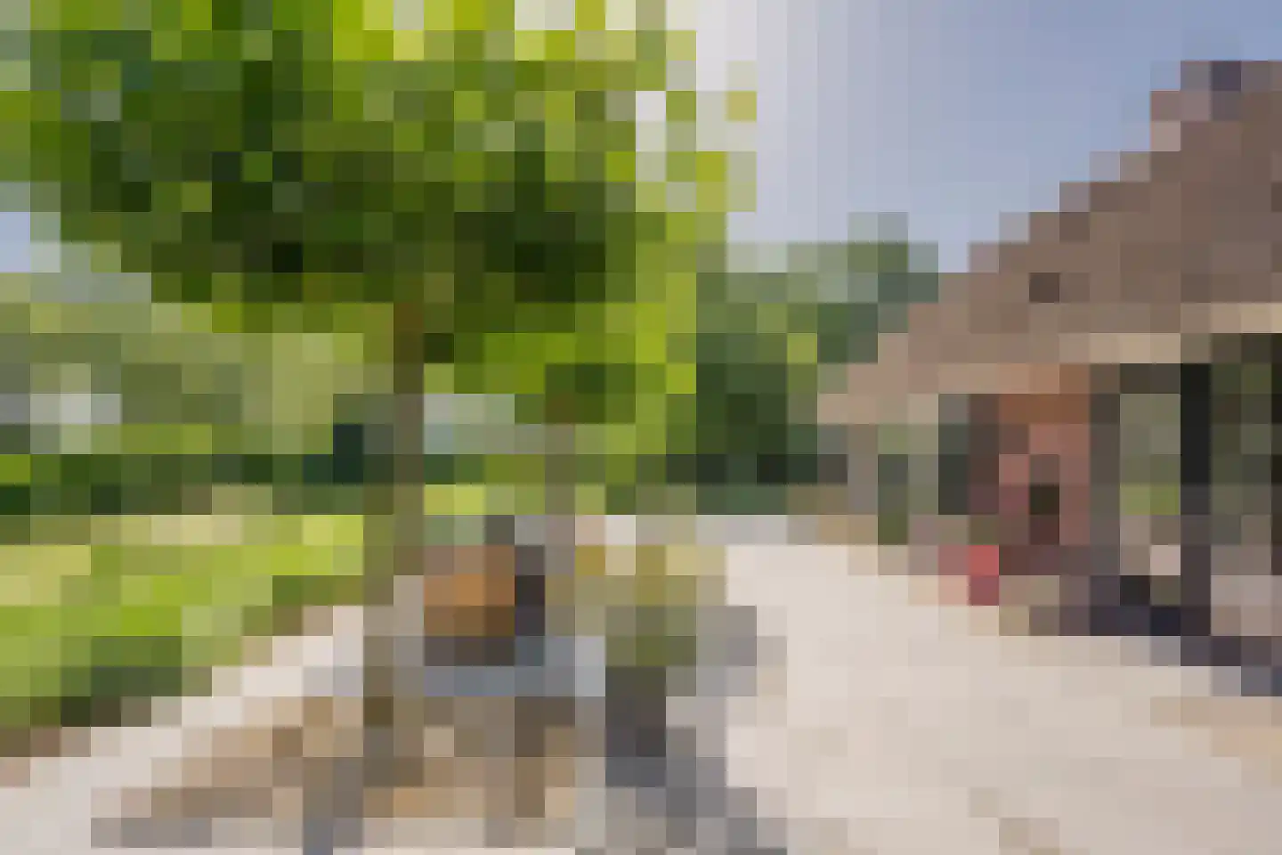Welgelegenweg 12 Stroe thumbnail 15