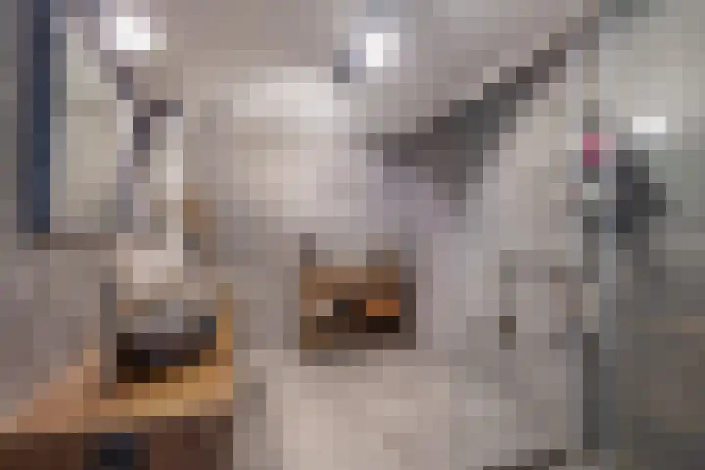 Welgelegenweg 12 Stroe thumbnail 18
