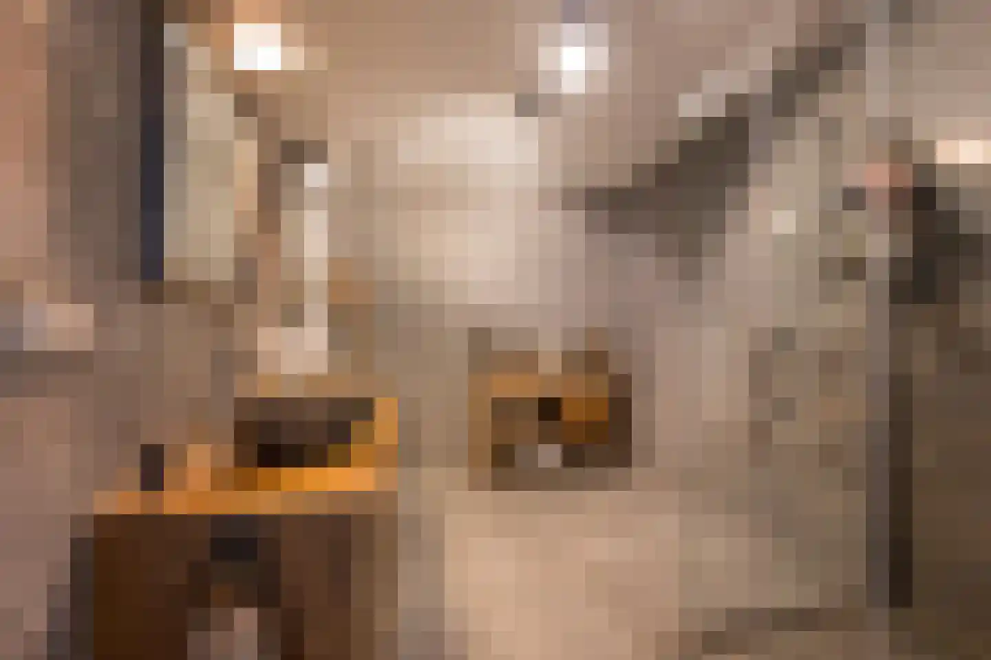 Welgelegenweg 12 Stroe thumbnail 22
