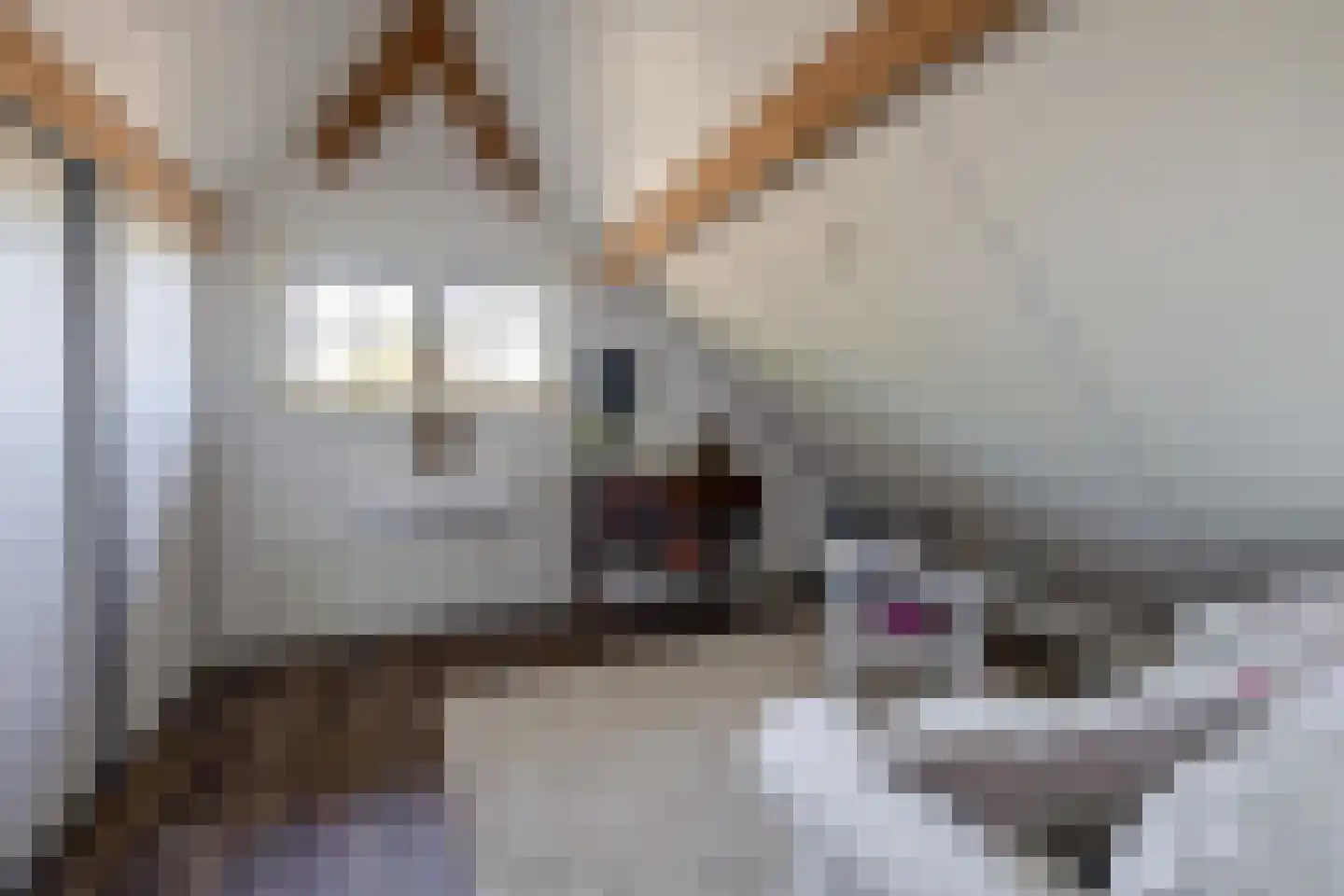 Welgelegenweg 12 Stroe thumbnail 22
