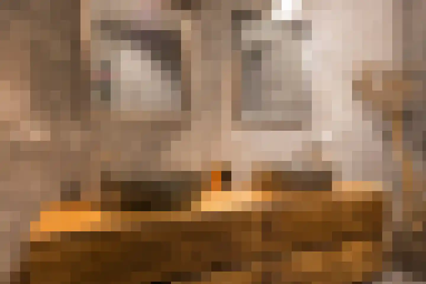 Welgelegenweg 12 Stroe thumbnail 23