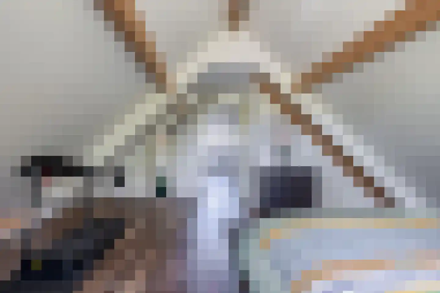 Welgelegenweg 12 Stroe thumbnail 24