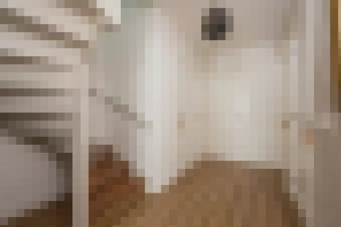 Welgelegenweg 12 Stroe thumbnail 26