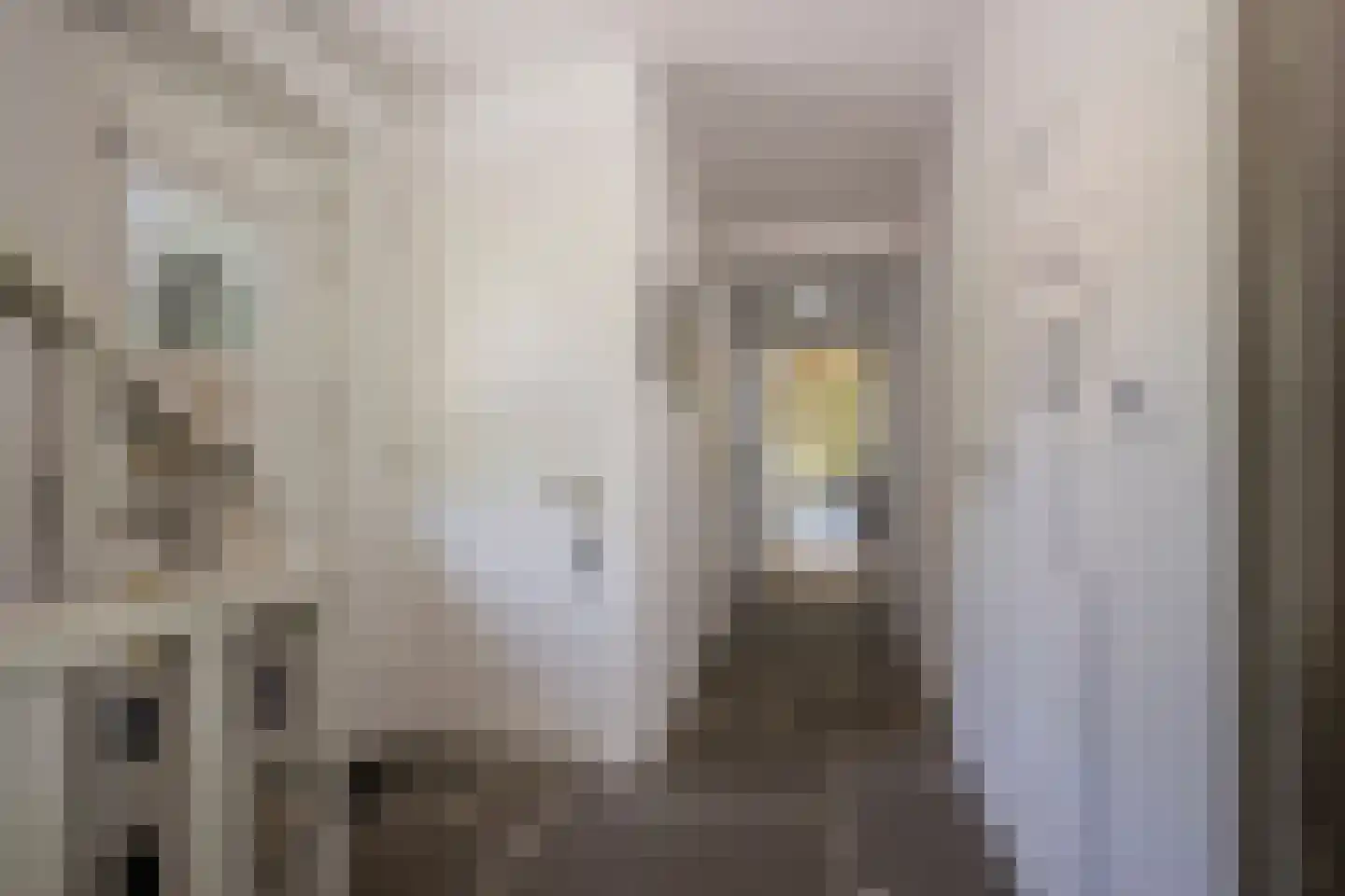 Welgelegenweg 12 Stroe thumbnail 27