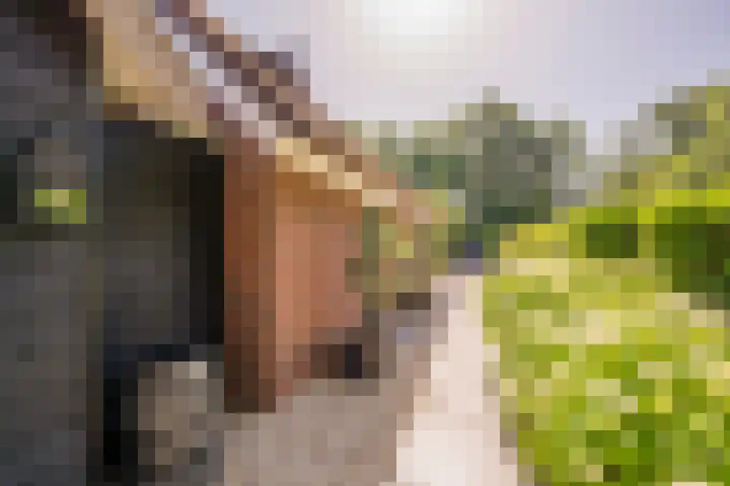 Welgelegenweg 12 Stroe thumbnail 32