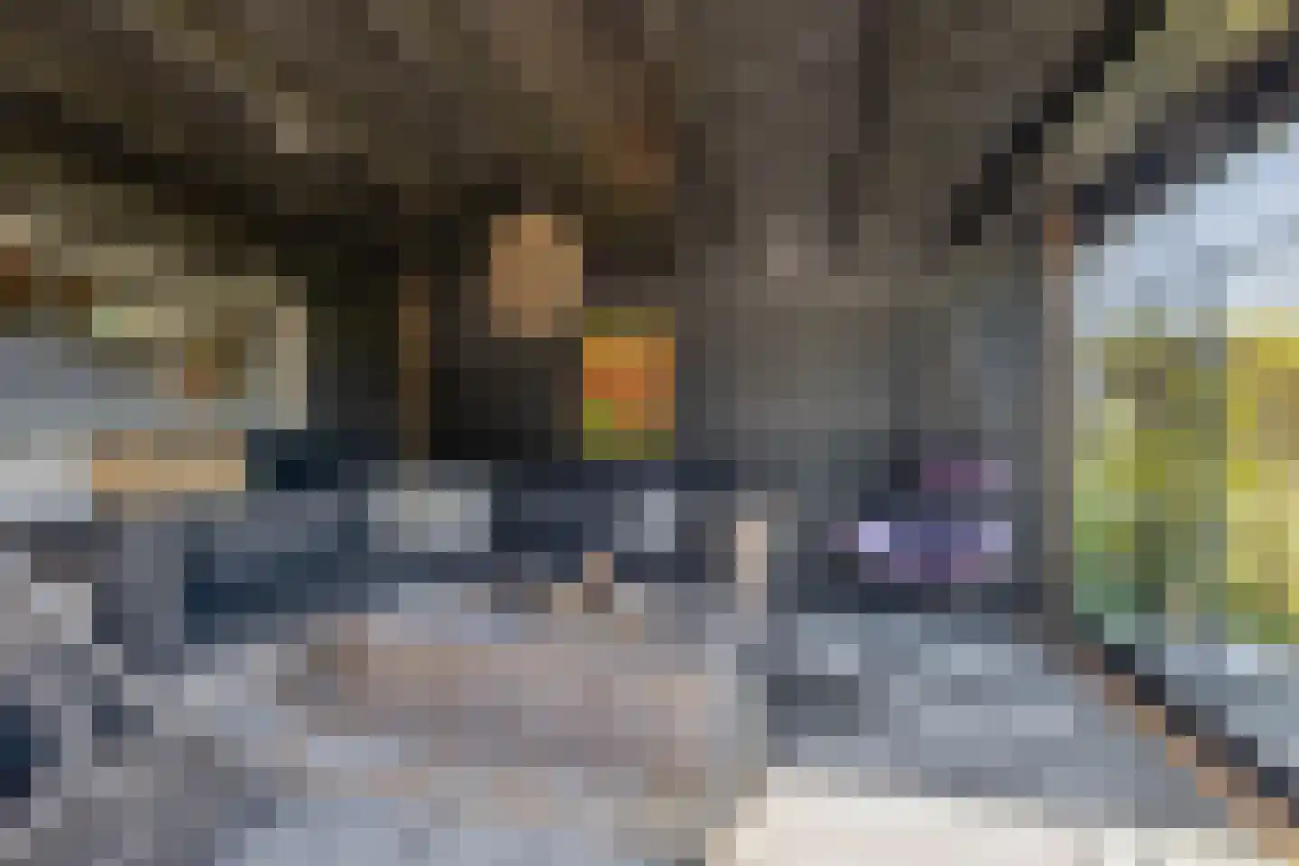 Welgelegenweg 12 Stroe thumbnail 39