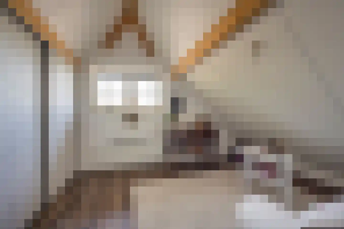 Welgelegenweg 12 Stroe thumbnail 48
