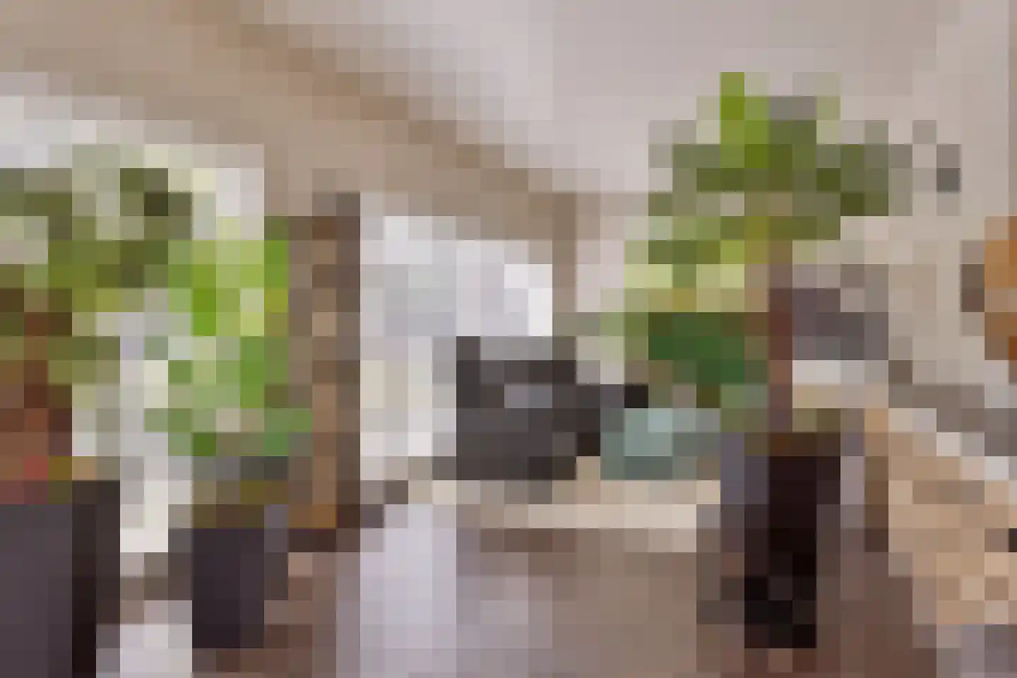 Welgelegenweg 19 Apeldoorn thumbnail 22