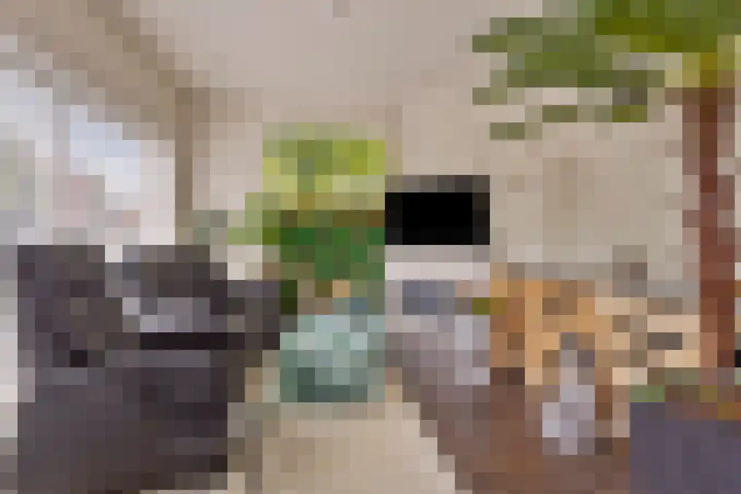 Welgelegenweg 19 Apeldoorn thumbnail 23