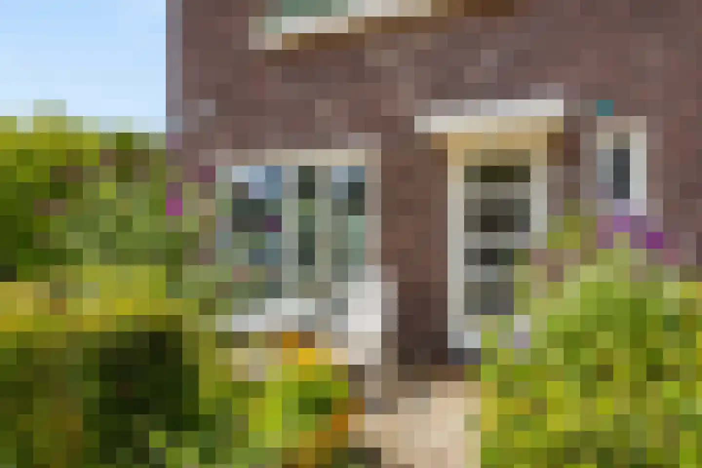 Welgelegenweg 19 Apeldoorn thumbnail 4