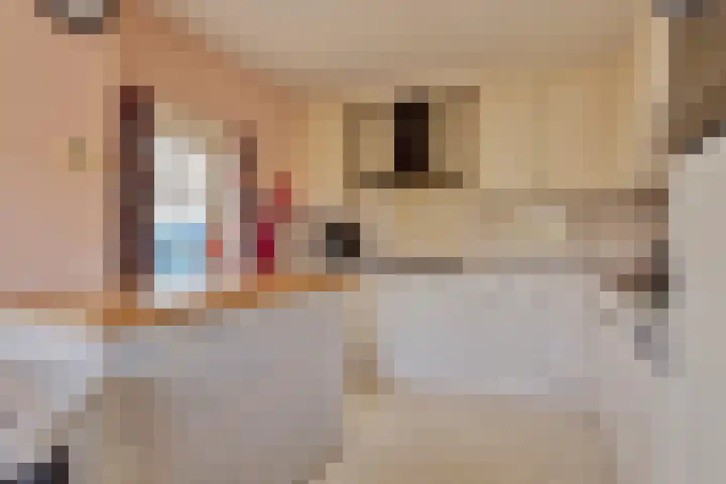 Welgelegenweg 19 Apeldoorn thumbnail 9