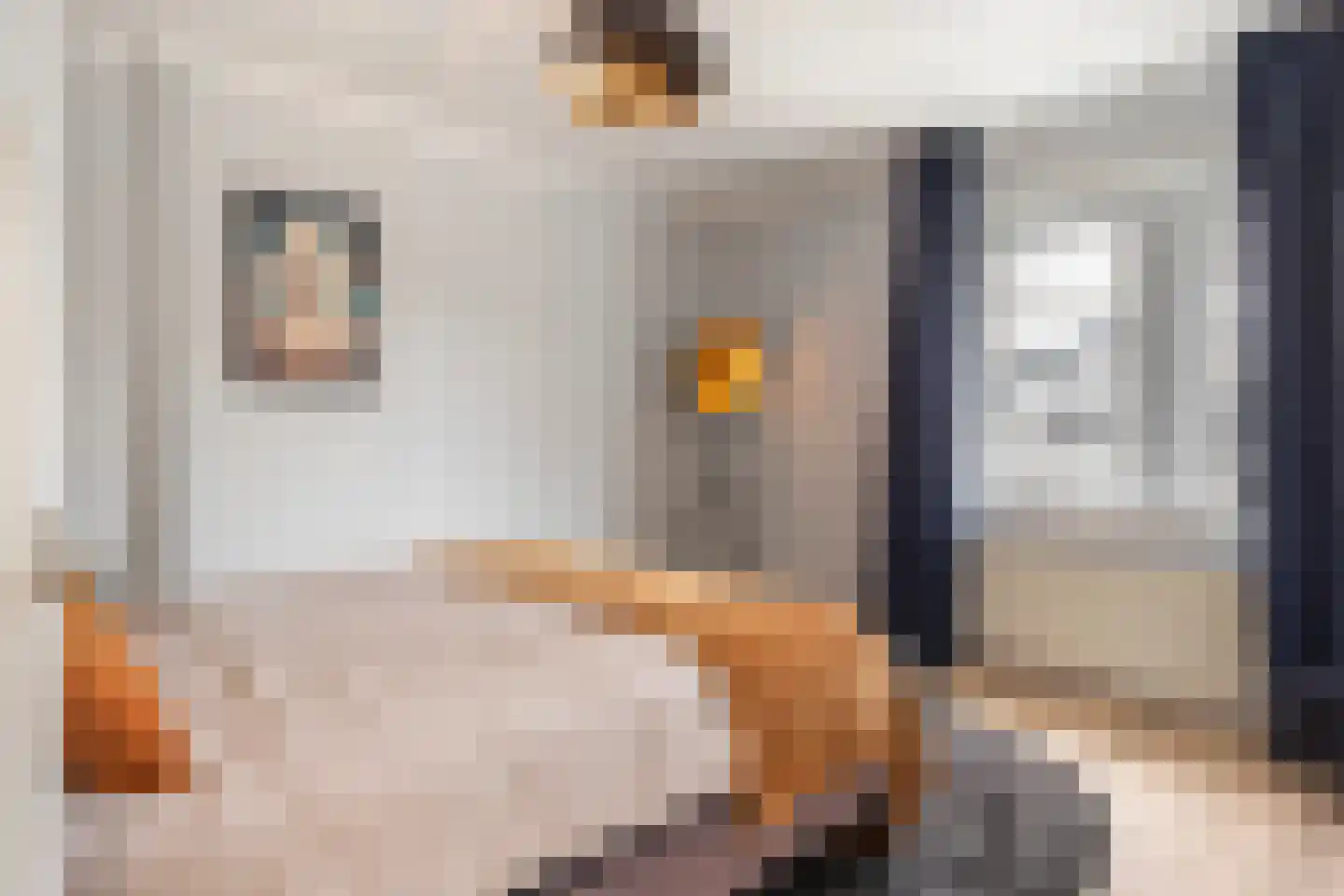 Welgelegenweg 21 Apeldoorn thumbnail 18