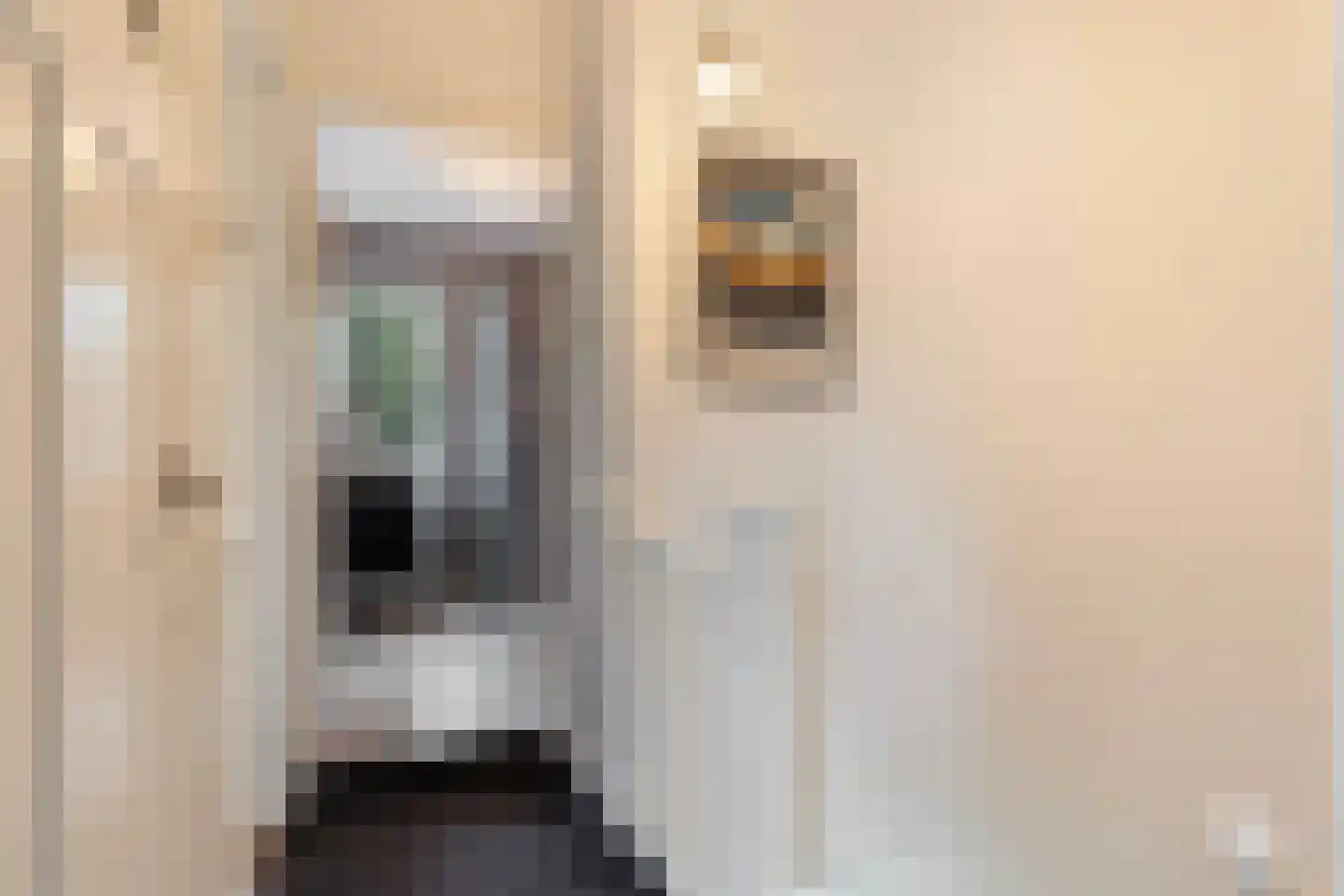 Welgelegenweg 21 Apeldoorn thumbnail 23