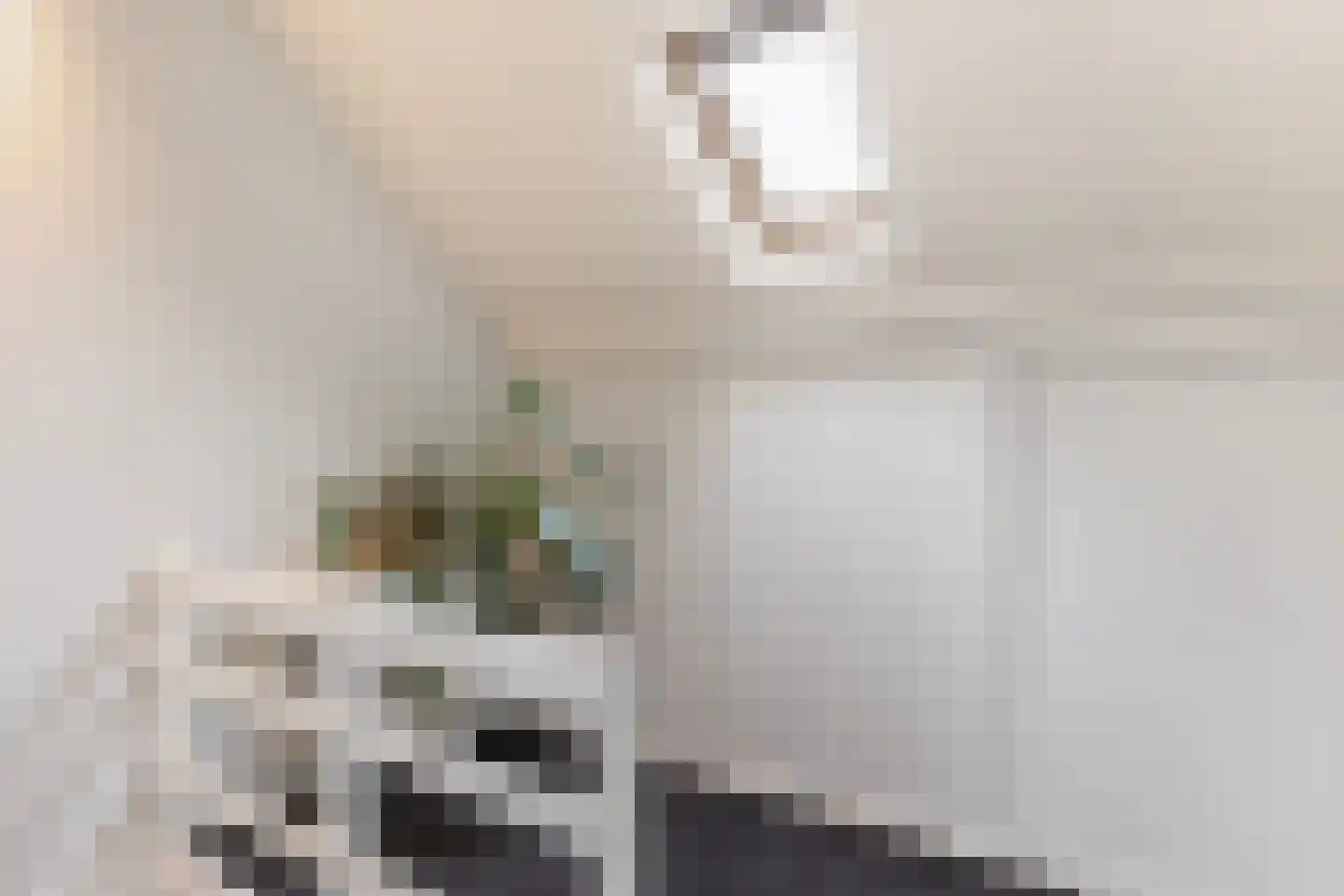 Welgelegenweg 21 Apeldoorn thumbnail 24