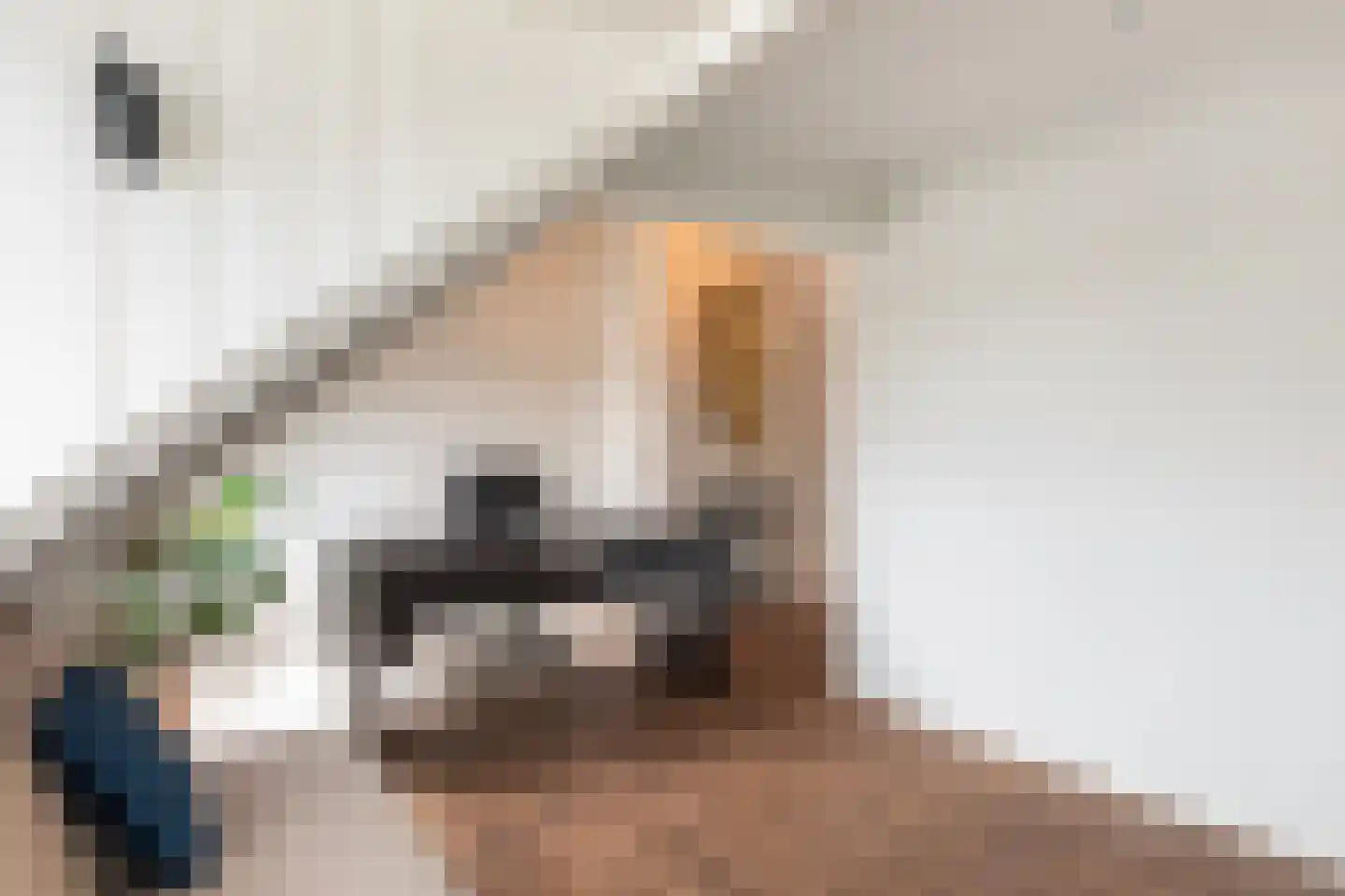 Welgelegenweg 21 Apeldoorn thumbnail 26