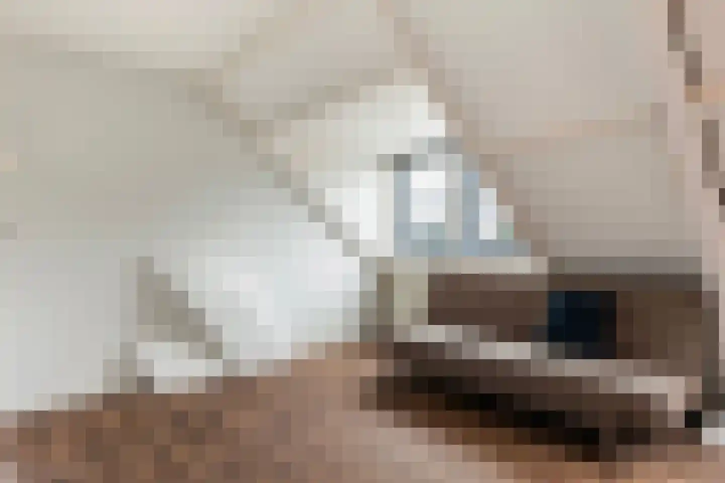 Welgelegenweg 21 Apeldoorn thumbnail 27