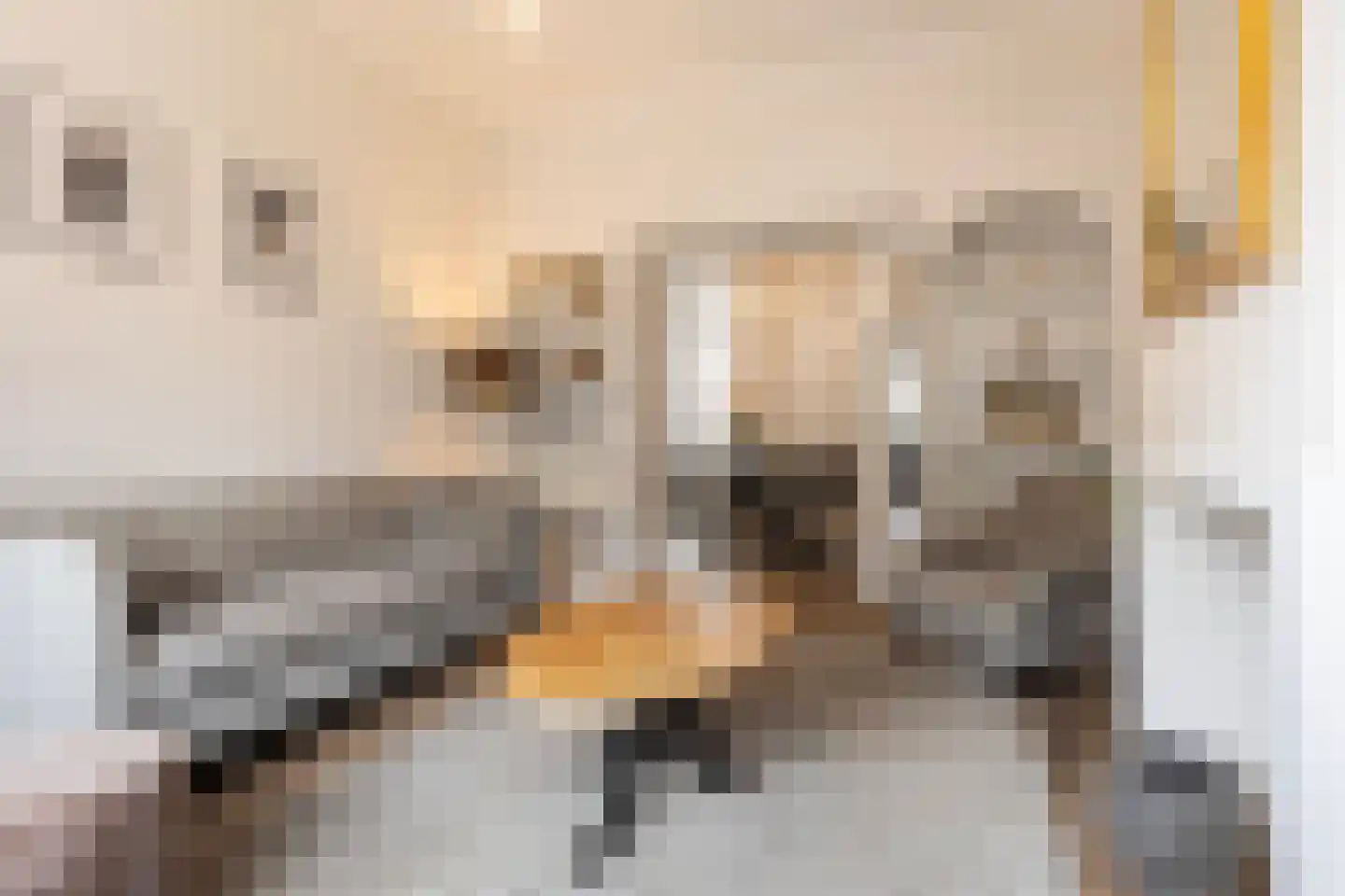 Welgelegenweg 21 Apeldoorn thumbnail 4