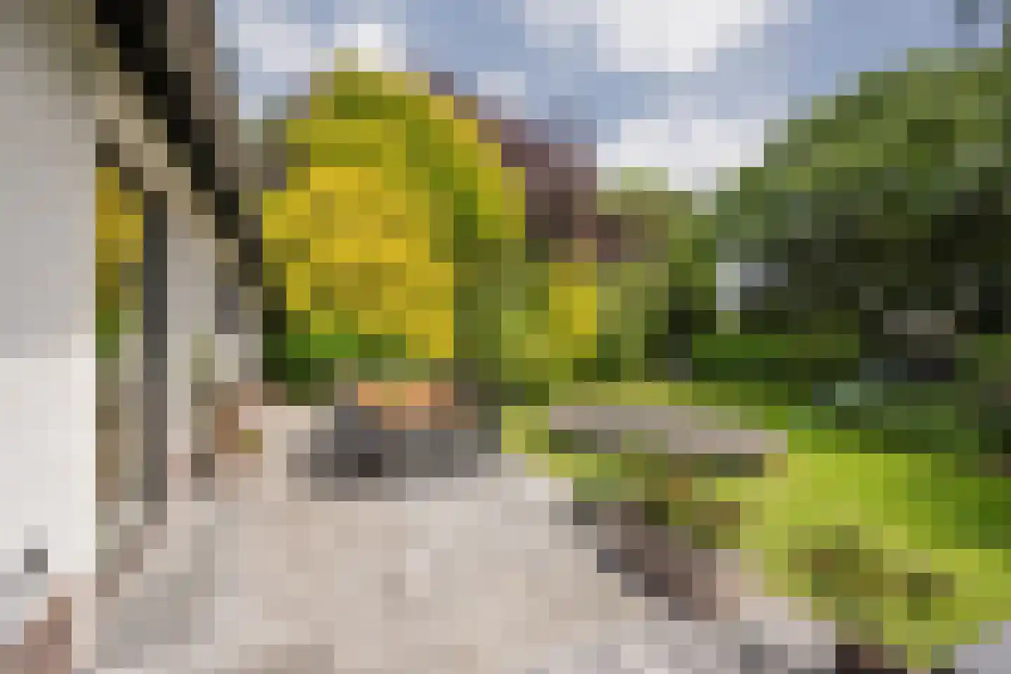 Welgelegenweg 22 Stroe thumbnail 26