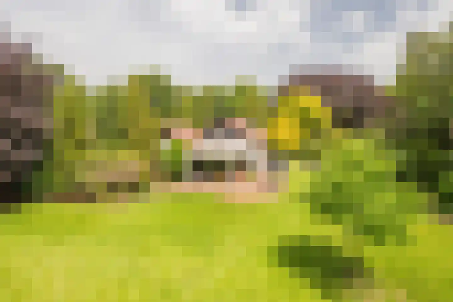 Welgelegenweg 22 Stroe thumbnail 46