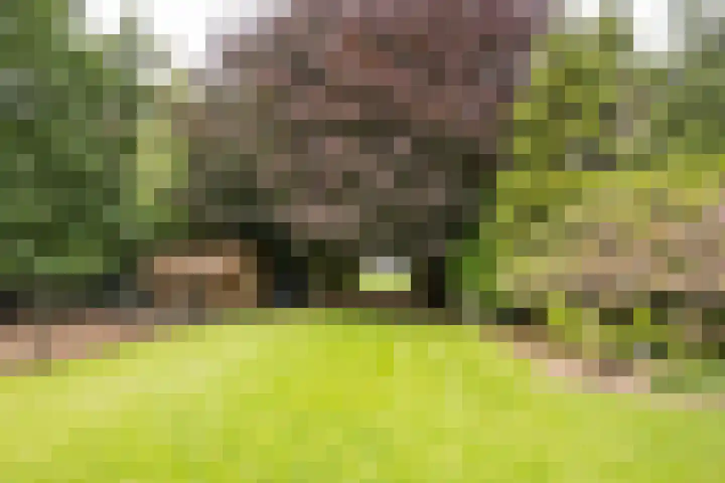 Welgelegenweg 22 Stroe thumbnail 47