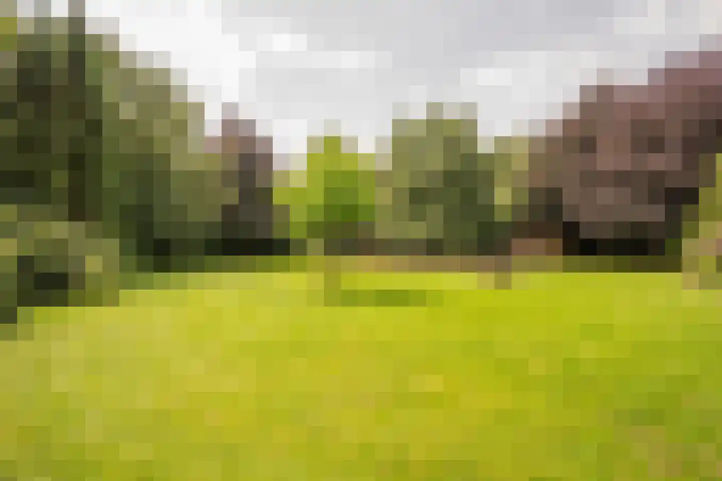 Welgelegenweg 22 Stroe thumbnail 52