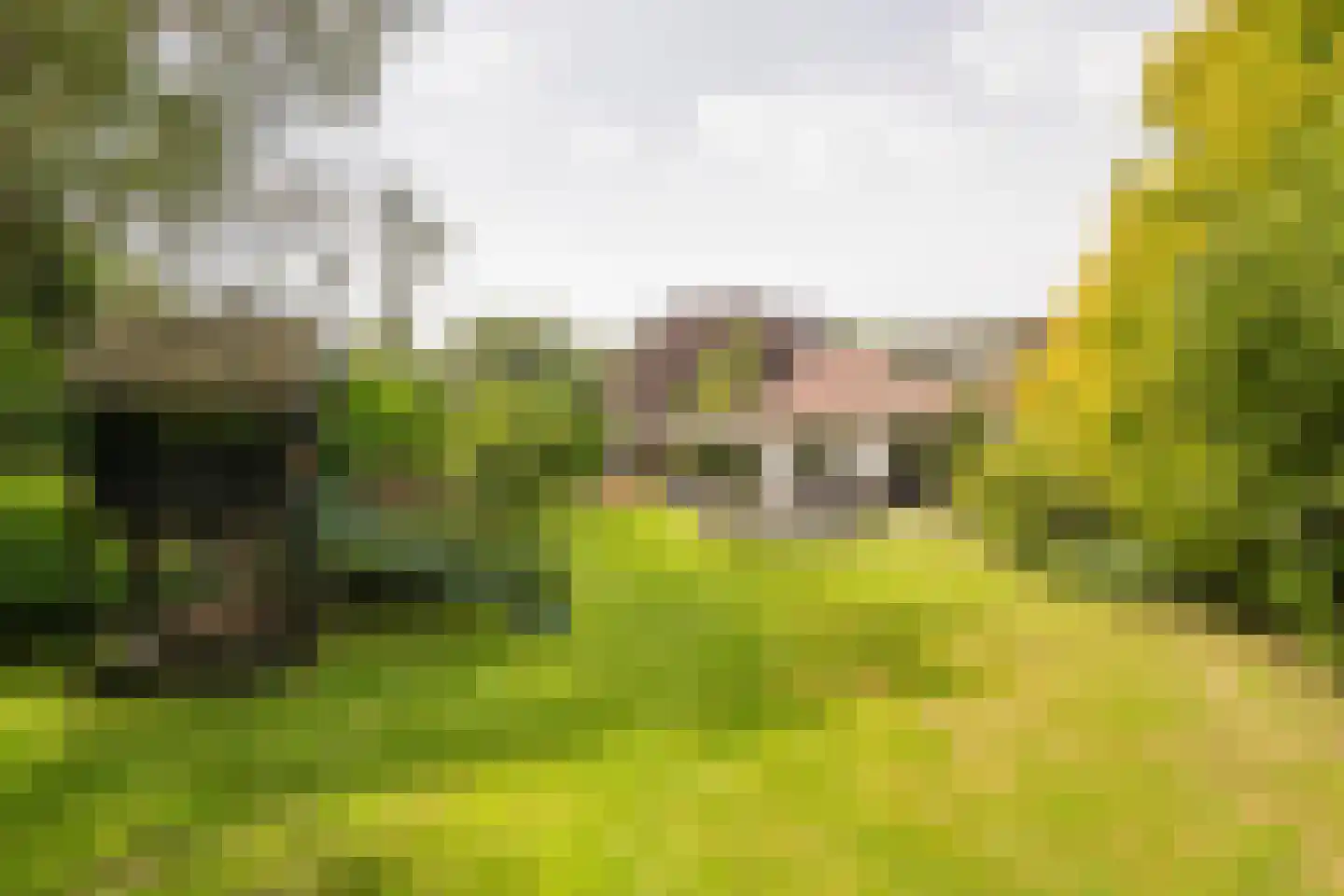 Welgelegenweg 22 Stroe thumbnail 54