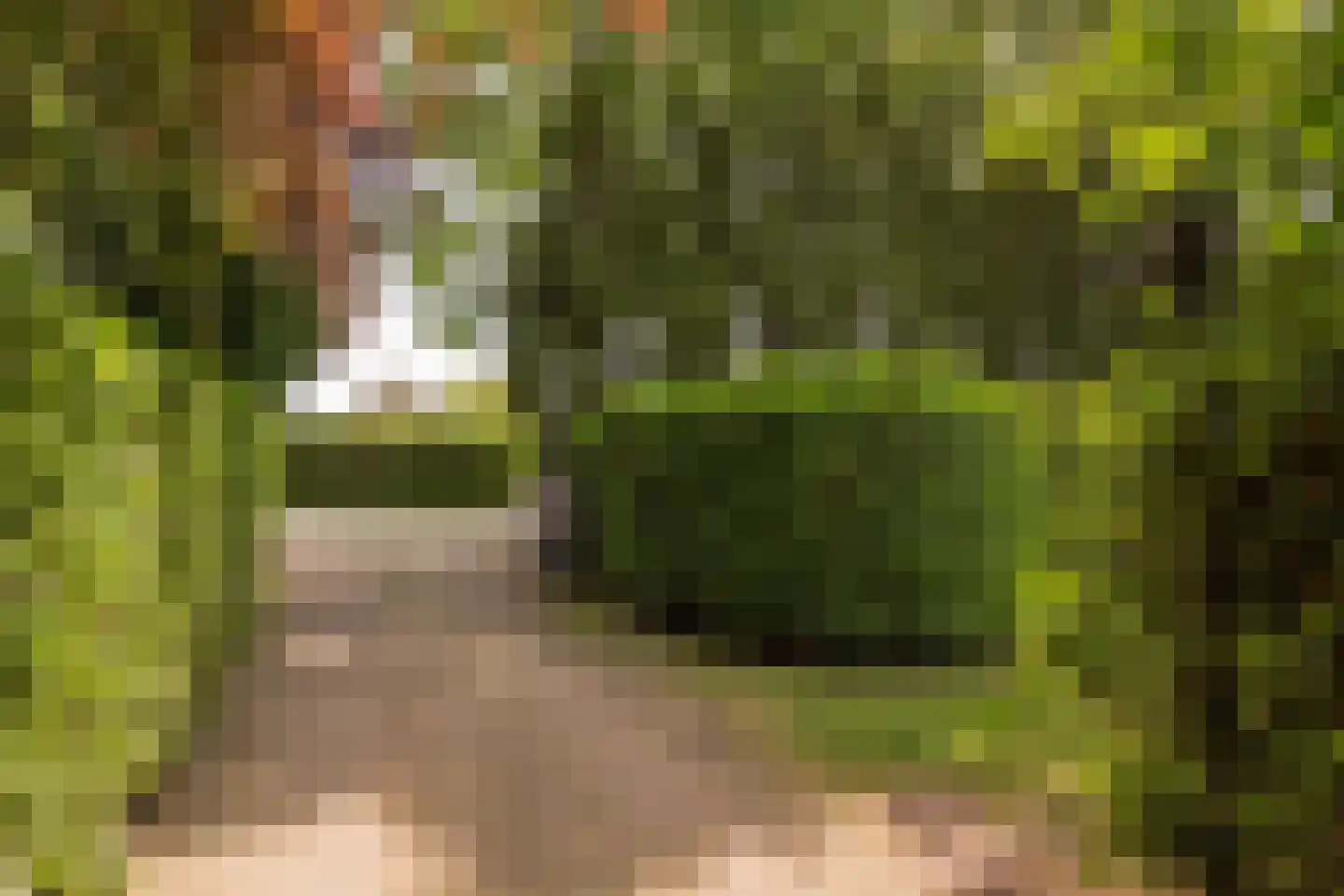 Welgelegenweg 22 Stroe thumbnail 55