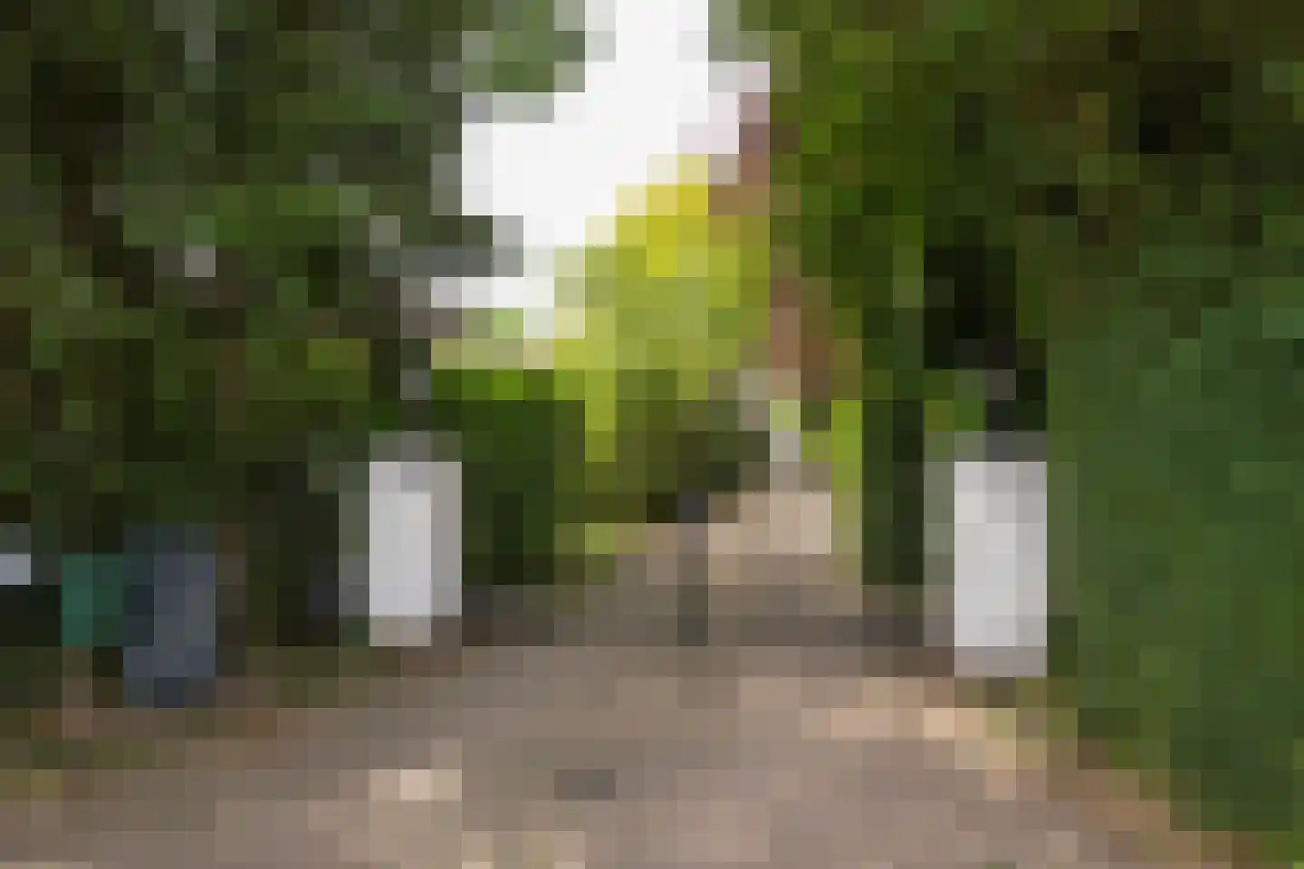 Welgelegenweg 22 Stroe thumbnail 59