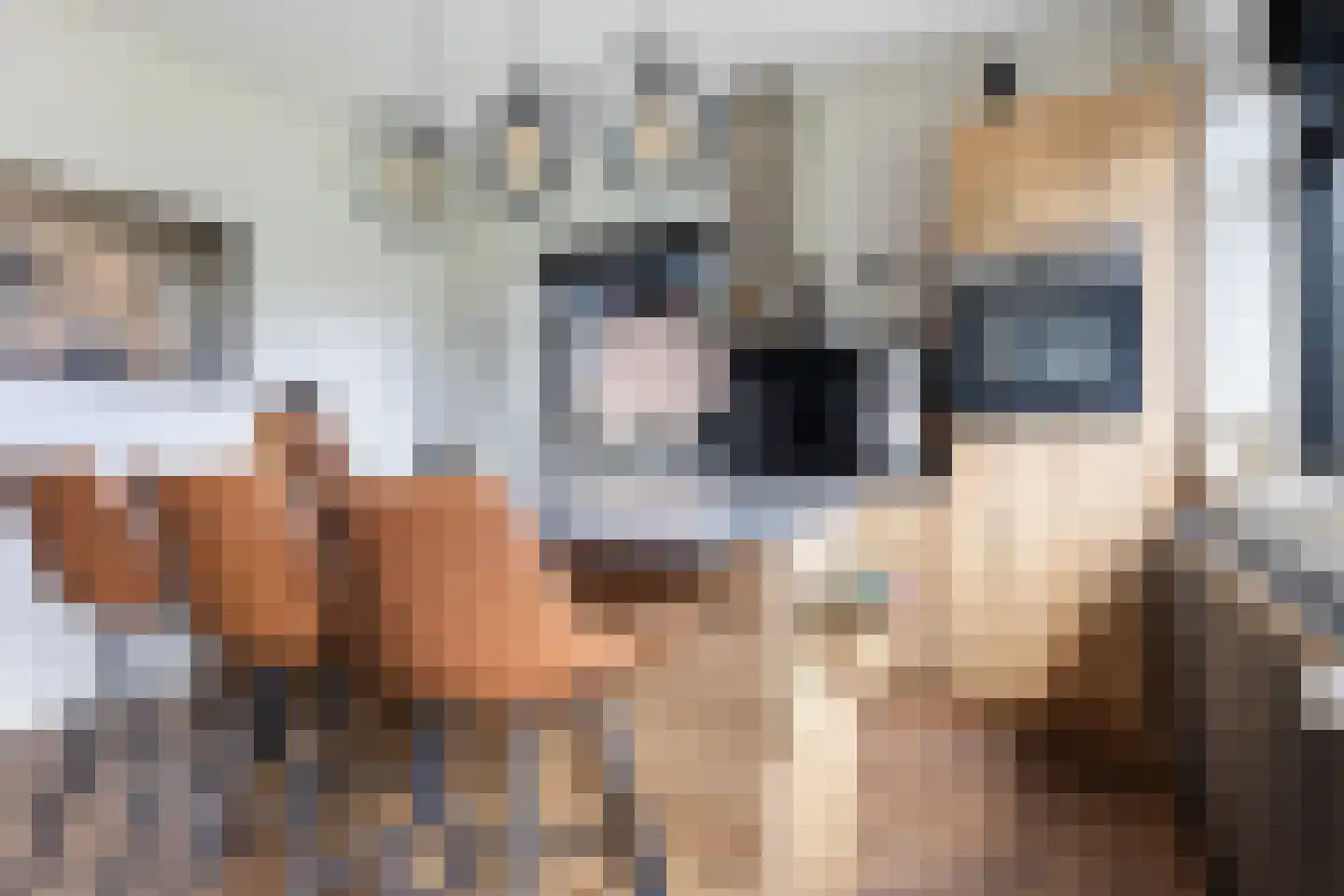 Welgelegenweg 26 Apeldoorn thumbnail 13