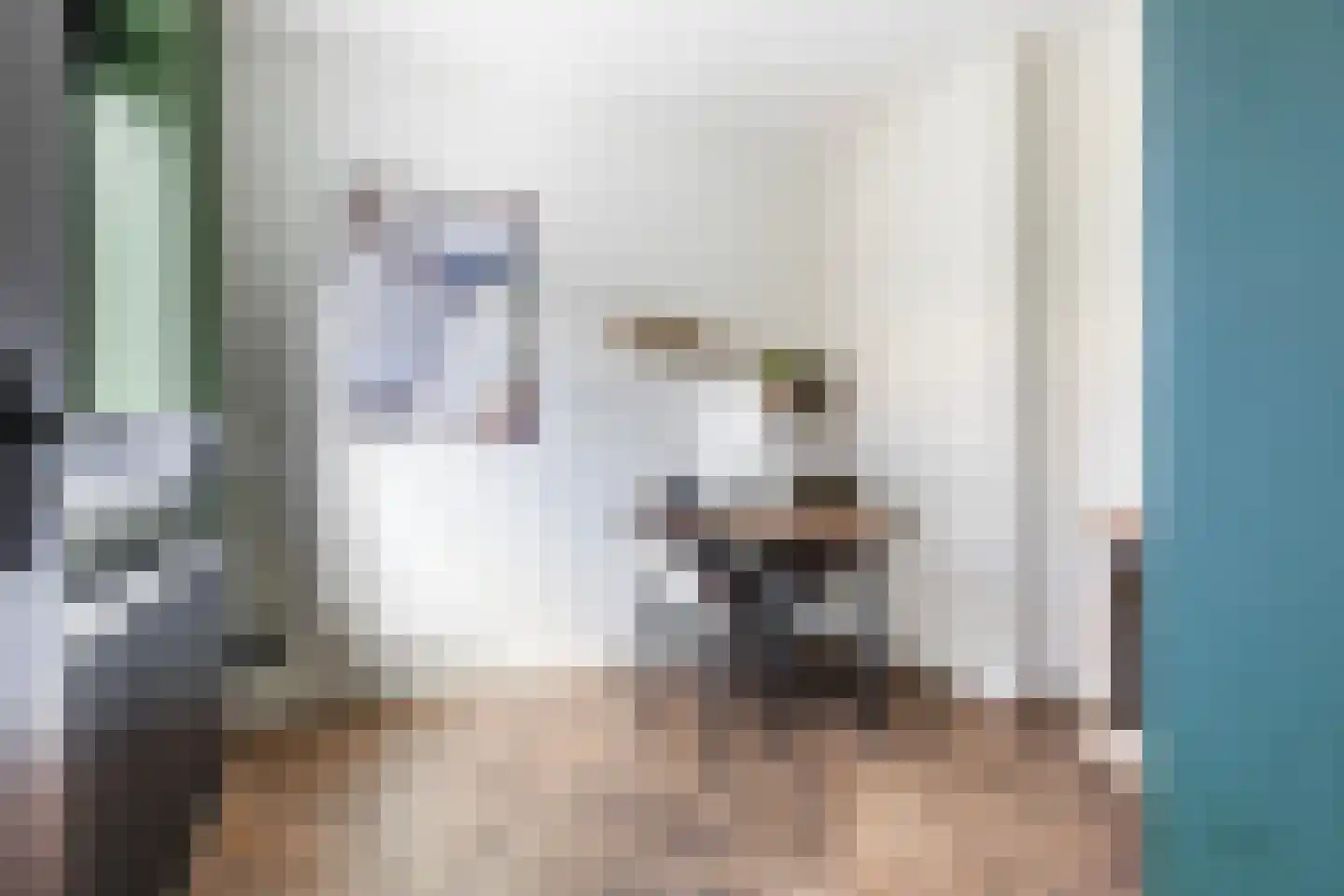 Welgelegenweg 26 Apeldoorn thumbnail 14