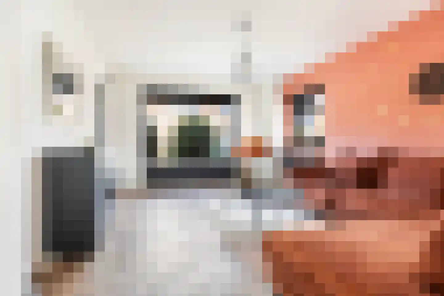 Welgelegenweg 26 Apeldoorn thumbnail 8