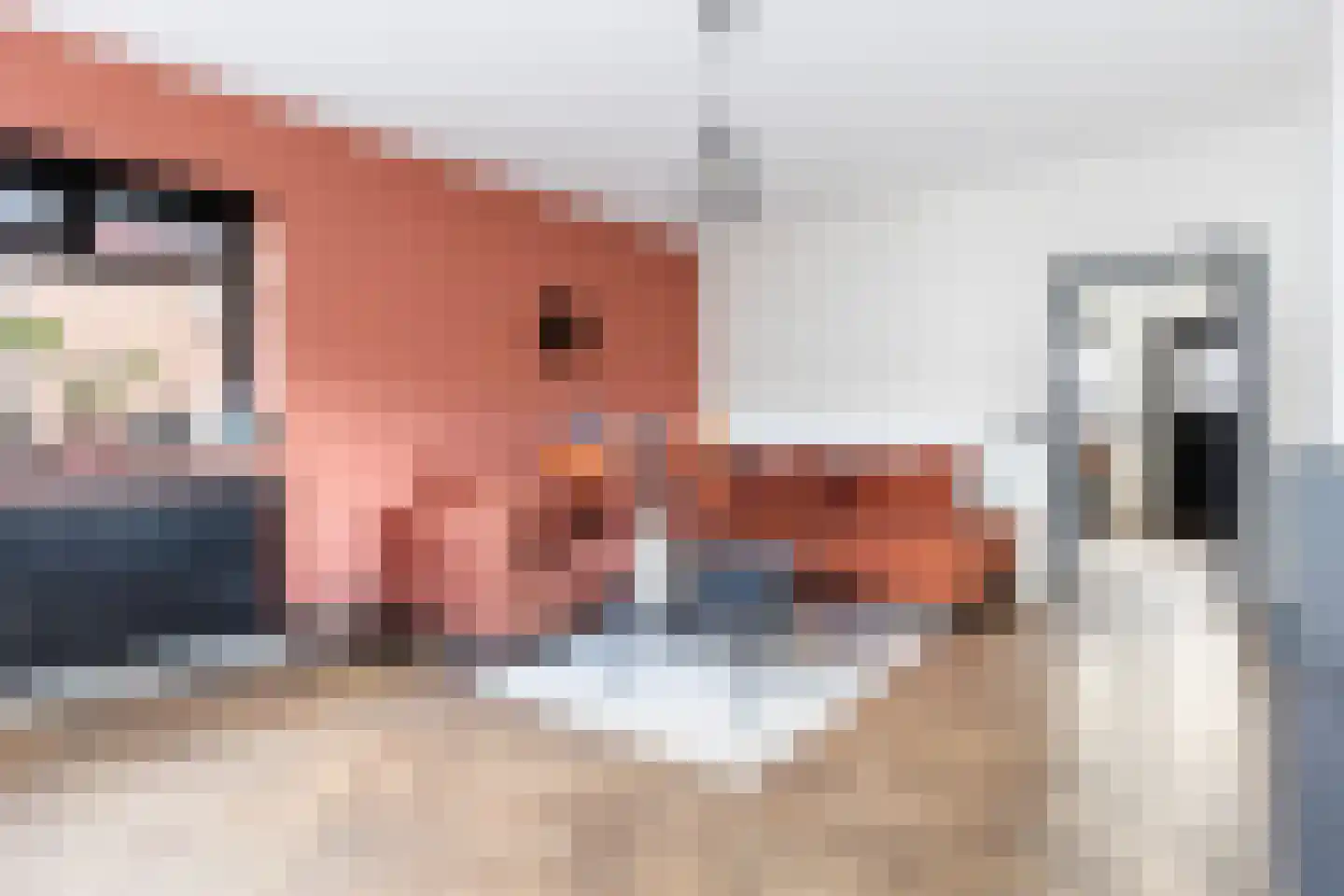 Welgelegenweg 26 Apeldoorn thumbnail 9