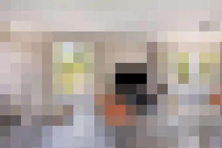 Welgelegenweg 9 Vaassen thumbnail 12