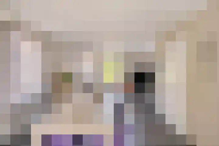 Welgelegenweg 9 Vaassen thumbnail 17