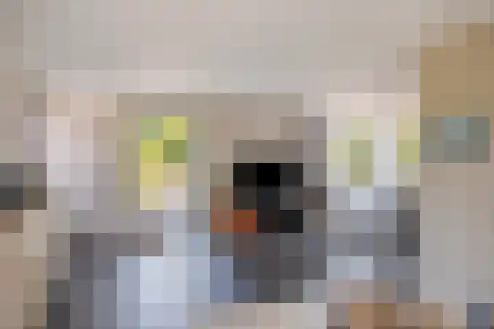 Welgelegenweg 9 Vaassen thumbnail 18