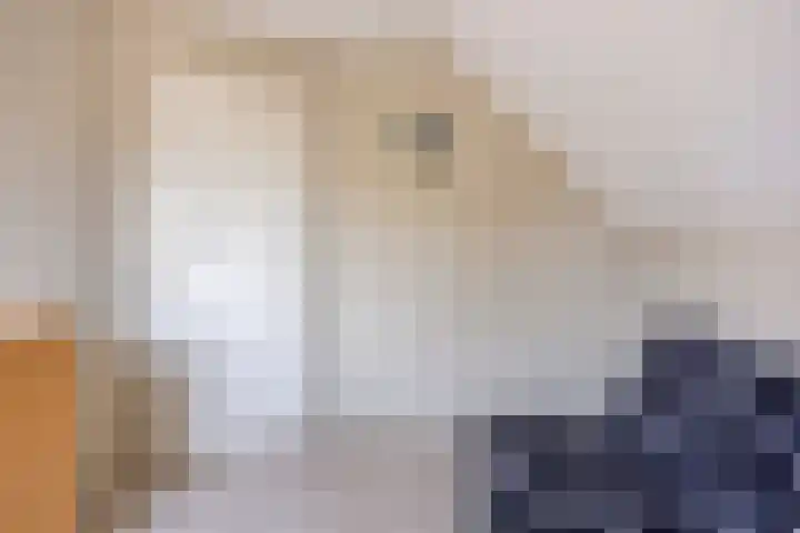 Welgelegenweg 9 Vaassen thumbnail 38