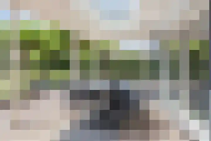 Welgelegenweg 9 Vaassen thumbnail 40