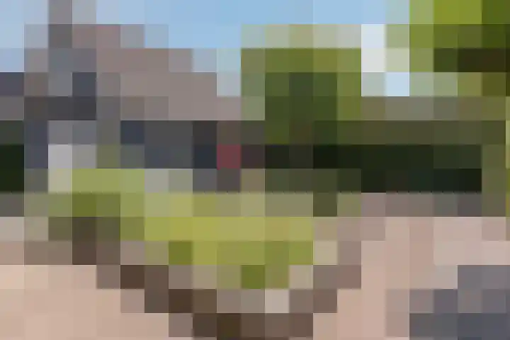 Welgelegenweg 9 Vaassen thumbnail 48