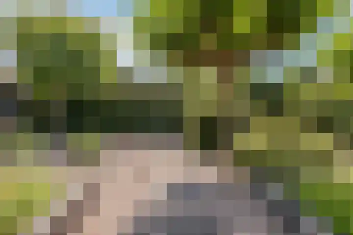 Welgelegenweg 9 Vaassen thumbnail 49