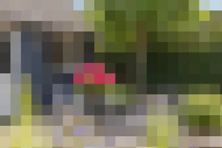 Welgelegenweg 9 Vaassen thumbnail 50