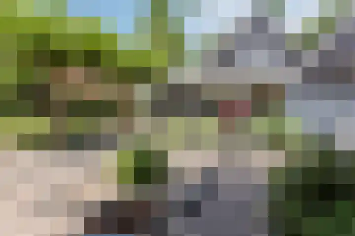 Welgelegenweg 9 Vaassen thumbnail 53