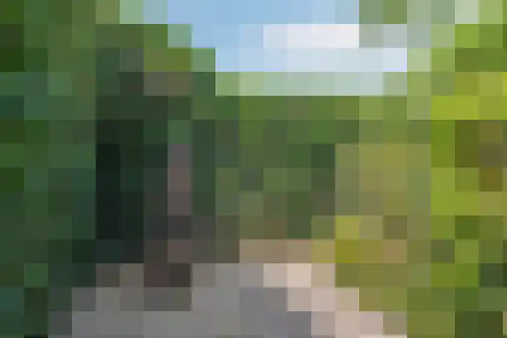 Welgelegenweg 9 Vaassen thumbnail 54