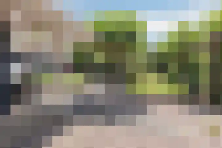 Welgelegenweg 9 Vaassen thumbnail 57